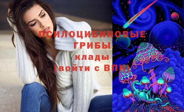 гашик Баксан